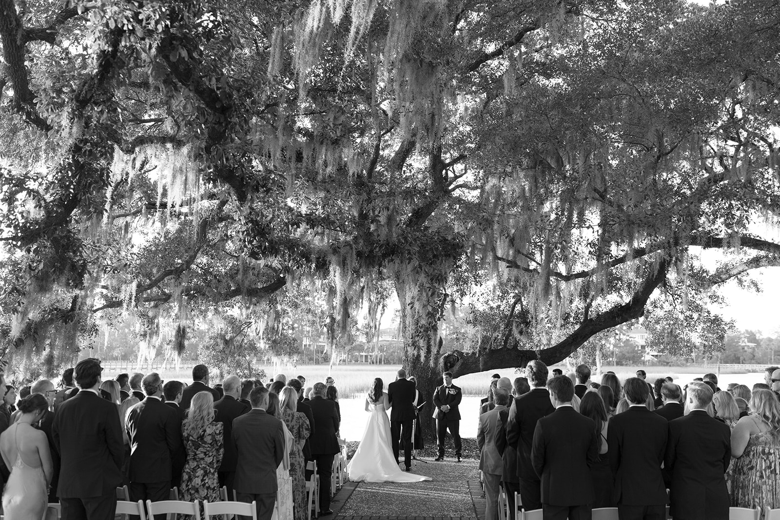 the stunning Charleston Wedding 
 ceremony space under a huge tree 