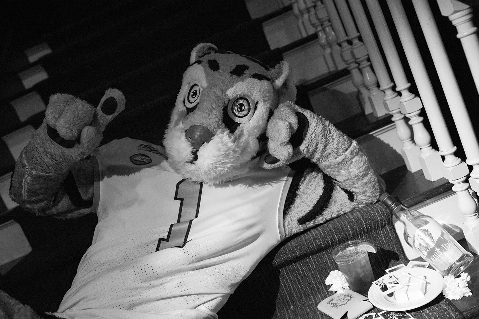 the mascot on the stairs for the Charleston Wedding 