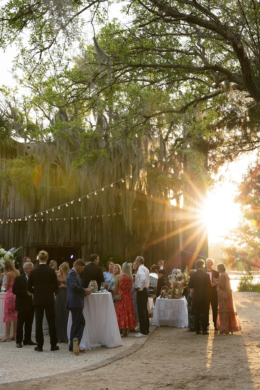 sun beaming through the trees at Boone Hall Plantation