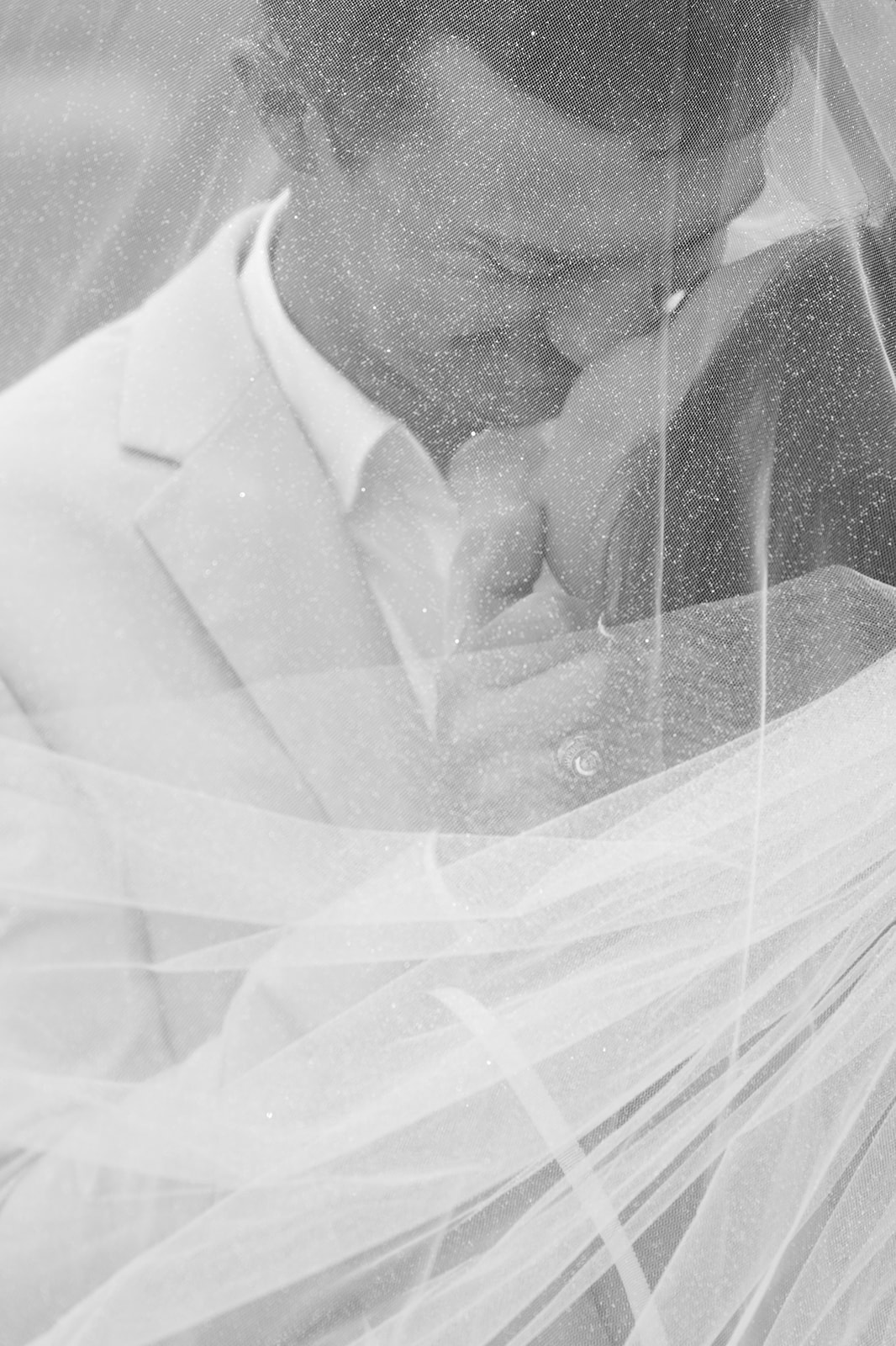 wedding portraits of the couple